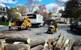 Best Emergency Tree Removal  in Del City, OK